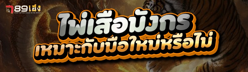 ไพ่เสือมังกร เหมาะกับมือใหม่หรือไม่
