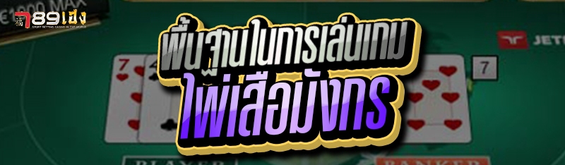 พื้นฐานในการเล่นเกม ไพ่เสือมังกร